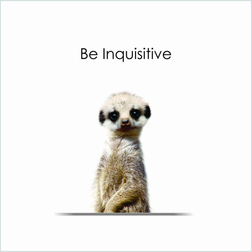 Baby Animal Canvas Art Wall Art Studios